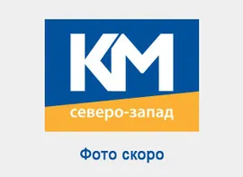Аккумулятор Panasonic Eneloop Pro LR03 AAA 930 mAh R2U (уп 2 шт)