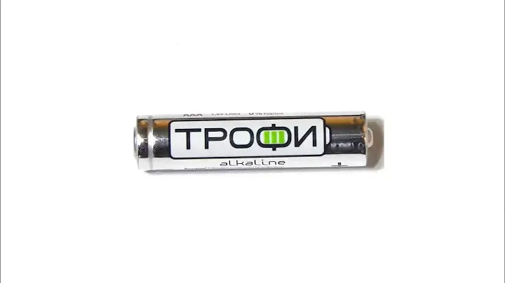 Батарейка Трофи ААА R03